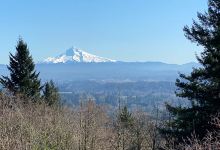 Hogan Butte Nature Park景点图片