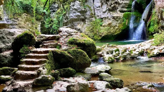 Tine De Conflens