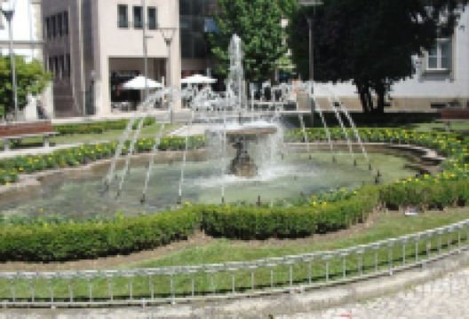 Jardim Tomas Ribeiro景点图片