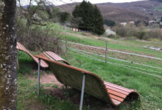 Schauinslandweg景点图片