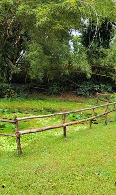 Cacao Trails - Museo de Cacao-Talamanca