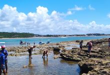 Aquário Natural Barra de São Miguel景点图片