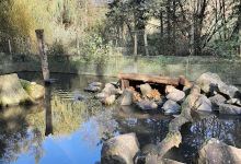 Enclos des Ragondins景点图片