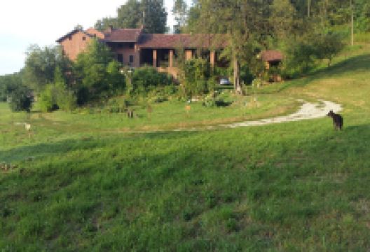 Fonte Solforosa景点图片