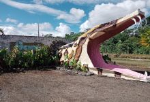 Acuario Finca Sarahi景点图片