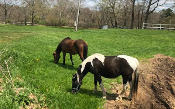 Stepping Stone Ranch