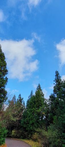 思连伊林道红色登高入口-西归浦市