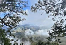 Blackbutt Lookout景点图片