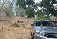 Finca San José景点图片