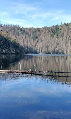 Poledník-普拉斯利