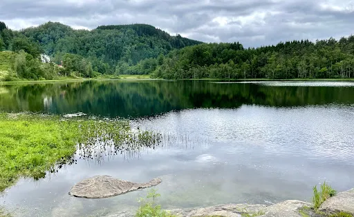 The Goldfish Lake