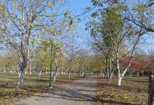 Lacul Amara景点图片