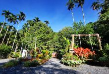ล่องแพบ้านวังหอน Wanghon Bamboo Rafts景点图片