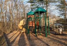 Andrea Playground景点图片