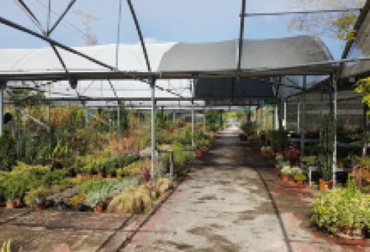 El Jardín Naturalista购物图片