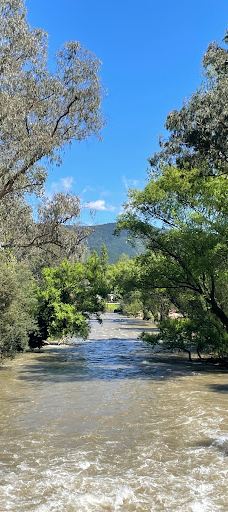 Bright Brewery-布莱特