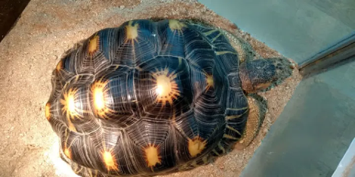 Zaporizhzhya Art Museum