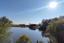 Charca da Vidoeira景点图片