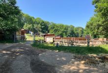 Jugendfarm Freiberg/Rot景点图片