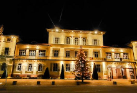 Schloss Neckarhausen景点图片