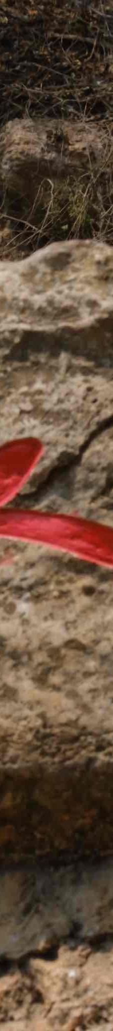 九龙瀑布群-罗平-北极光^_^