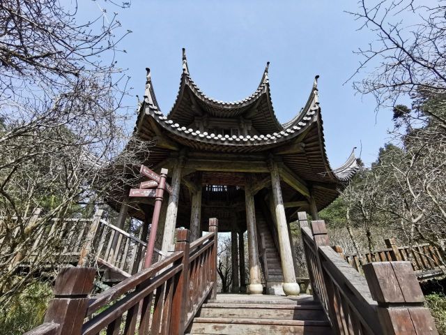 观复亭餐厅图片