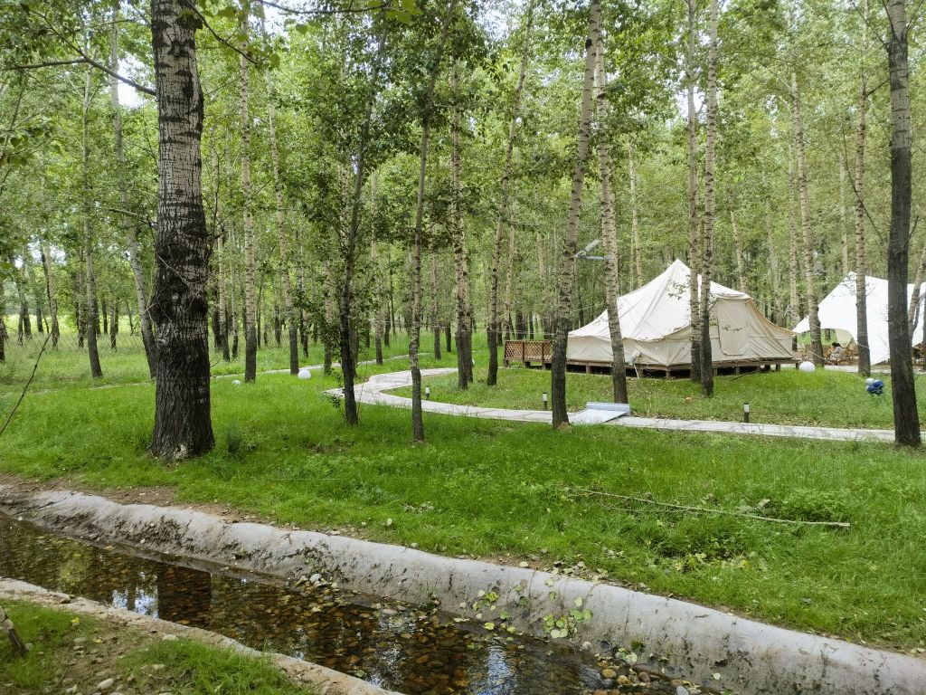 林下露营-红旗口基地餐厅图片