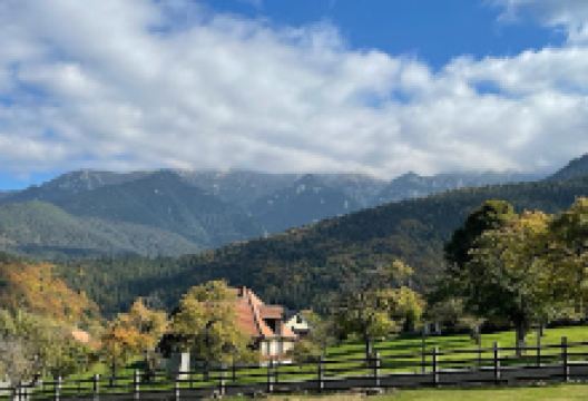Mănăstirea Bran景点图片