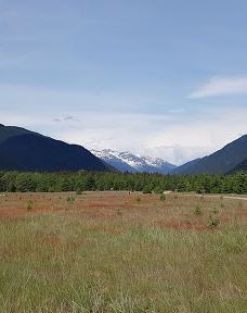 Dyea Campground-史凯威