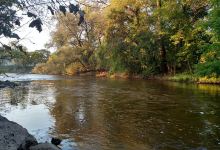 Esslingen Park/Canoe Launch景点图片