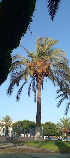 حديقة سوق الثلاثاء Sooq Althltha Garden-的黎波里