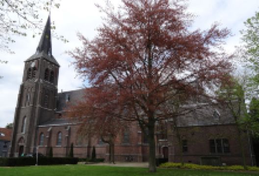 Sint-Monulphus en Gondulphuskerk景点图片