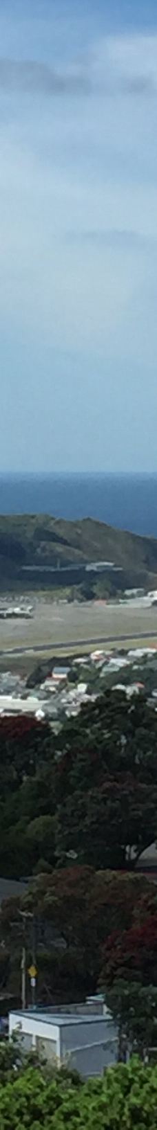 维多利亚山-惠灵顿