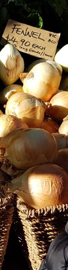 萨拉曼卡广场-霍巴特