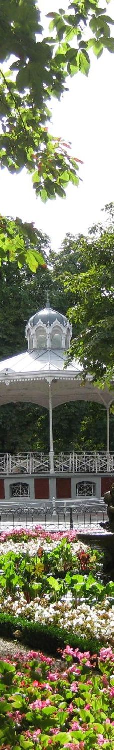 佛罗里达公园-维托里亚