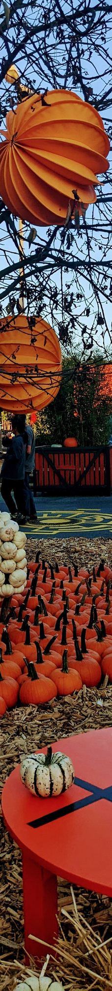 Oskarshausen-Sachsische Schweiz-Osterzgebirge