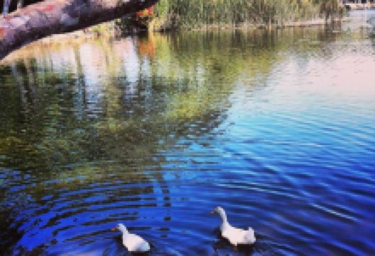 Shipley Nature Center景点图片