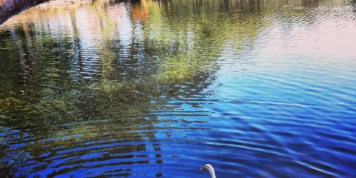 Shipley Nature Center