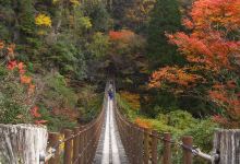 Momigi Suspension Bridge景点图片