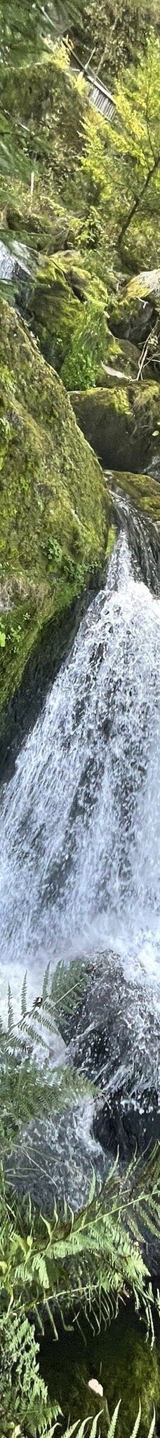 特里贝格瀑布-特里贝格