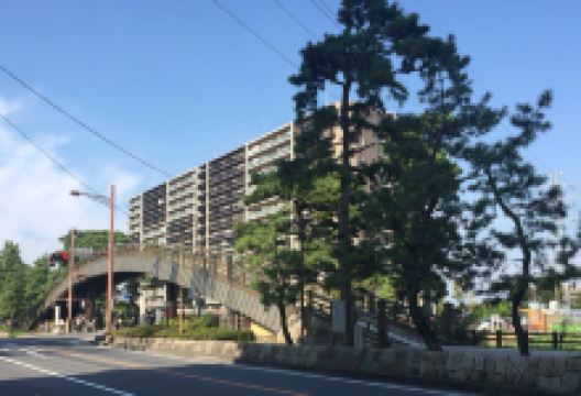 百代橋景点图片