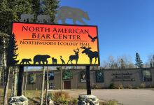 North American Bear Center景点图片