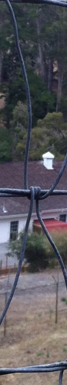 安琪儿岛-蒂伯龙