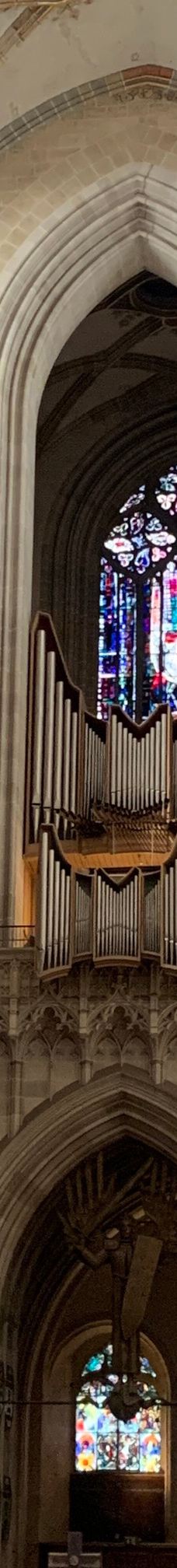 乌尔姆大教堂-乌尔姆