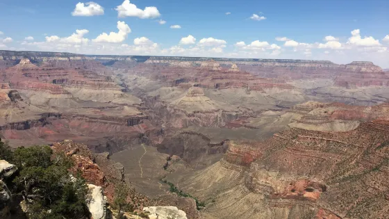 Trailview Overlook
