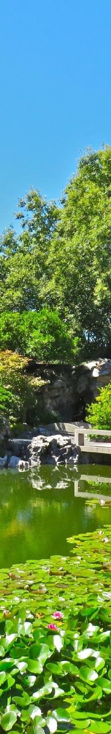 兰苏中国花园-波特兰