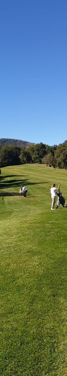 圣卡洛斯-德巴里洛切