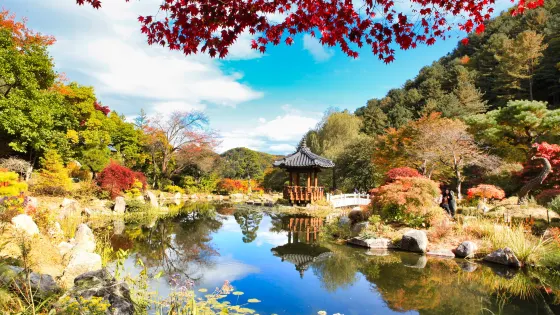 晨靜樹木花園