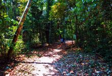 Parque Zoobotanico景点图片