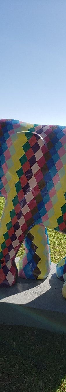 Pines Park-达纳点